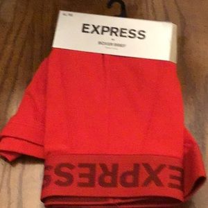 Express XL Boxer Briefs NWT